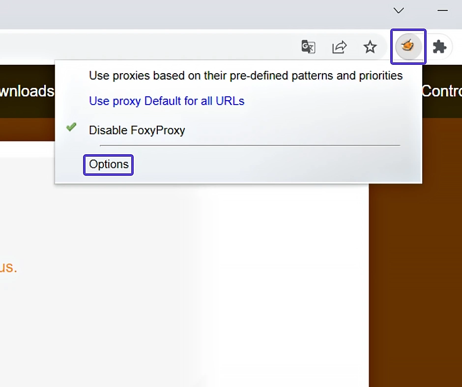 foxy proxy extension