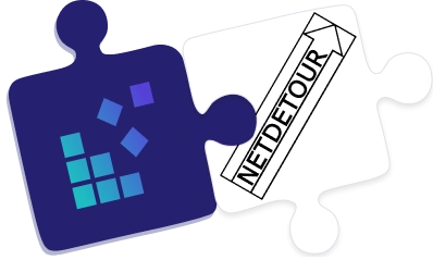 How to configure DataImpulse proxies in NetDetour