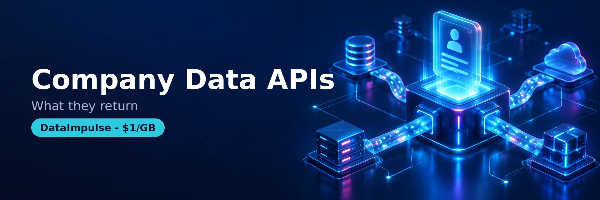 Company data API provider types compared - DataImpulse